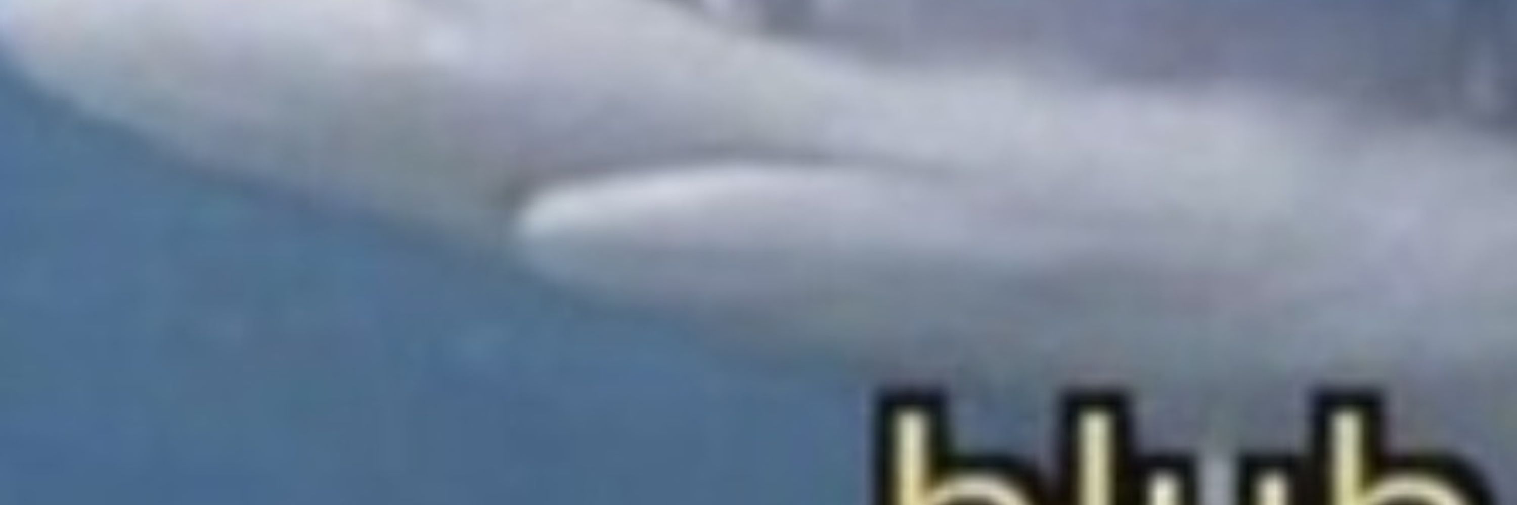 S 396 shark