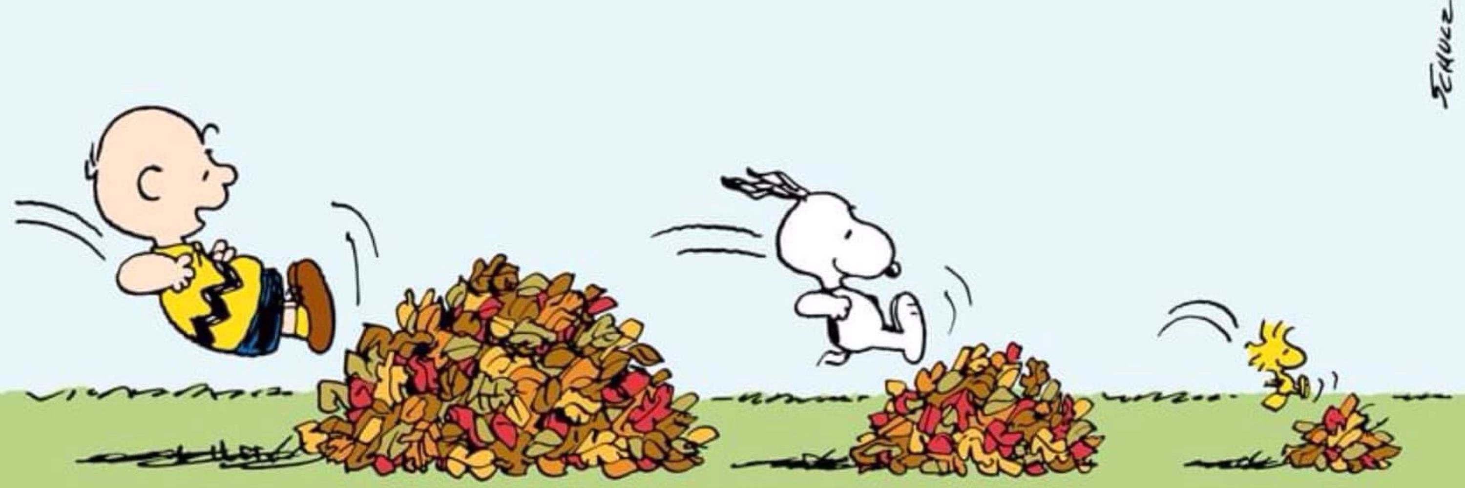 Life is Peanuts