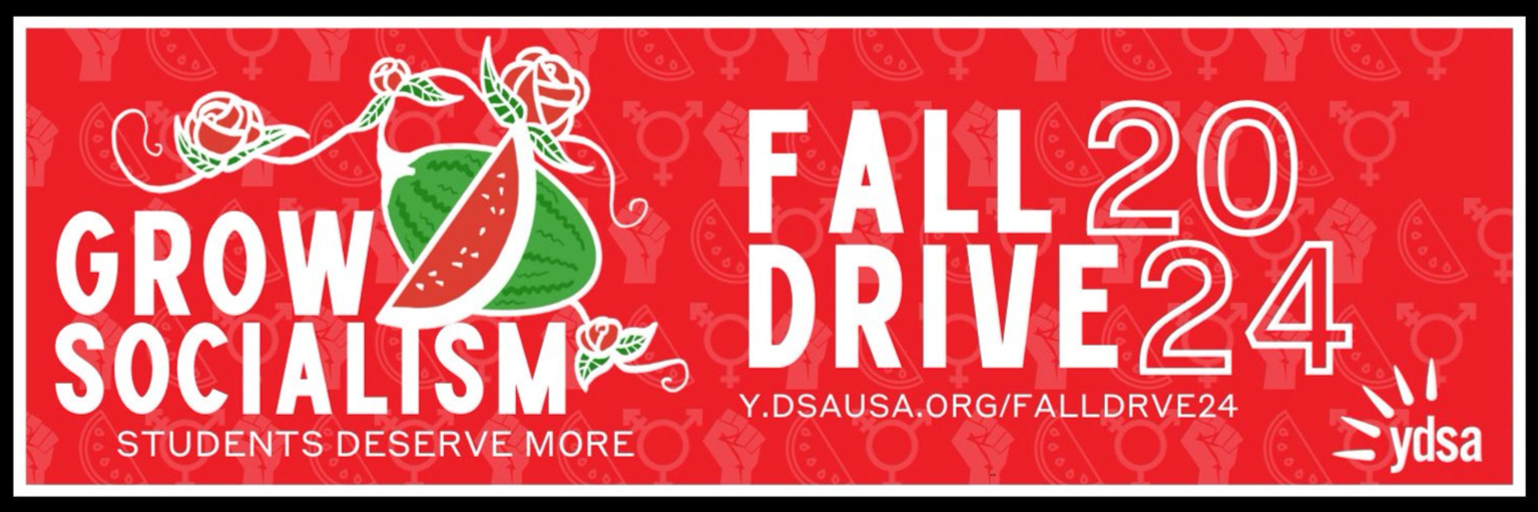 YDSA