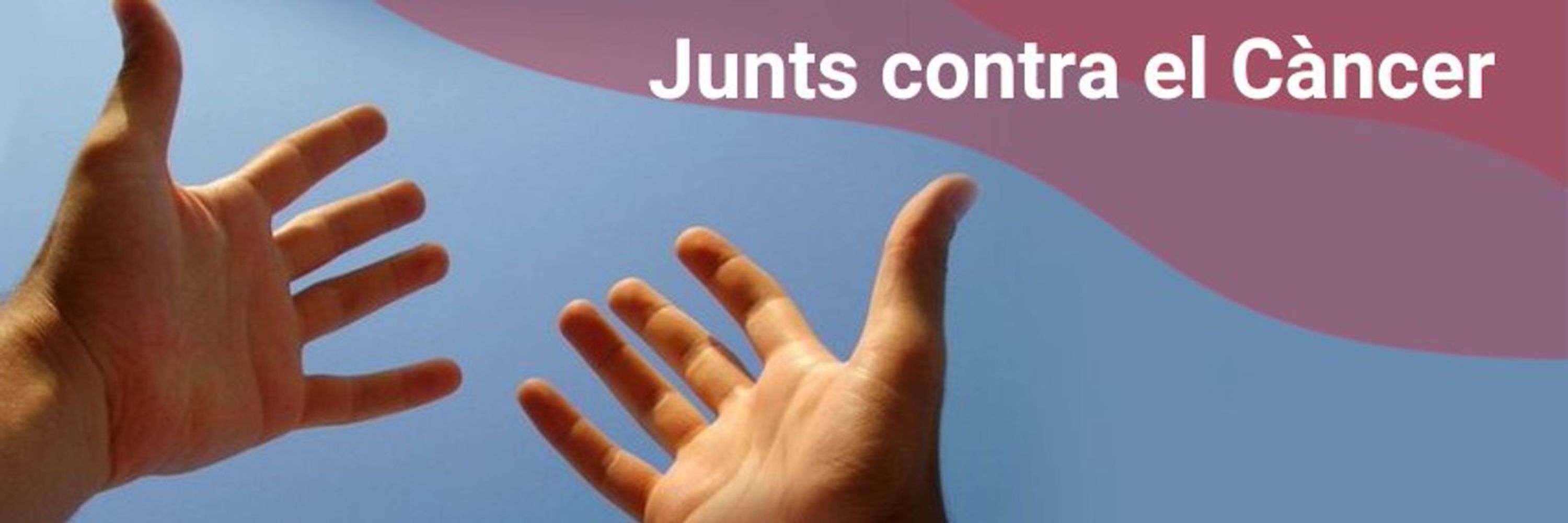 Federació Catalana d'Entitats contra el Càncer (FECEC)