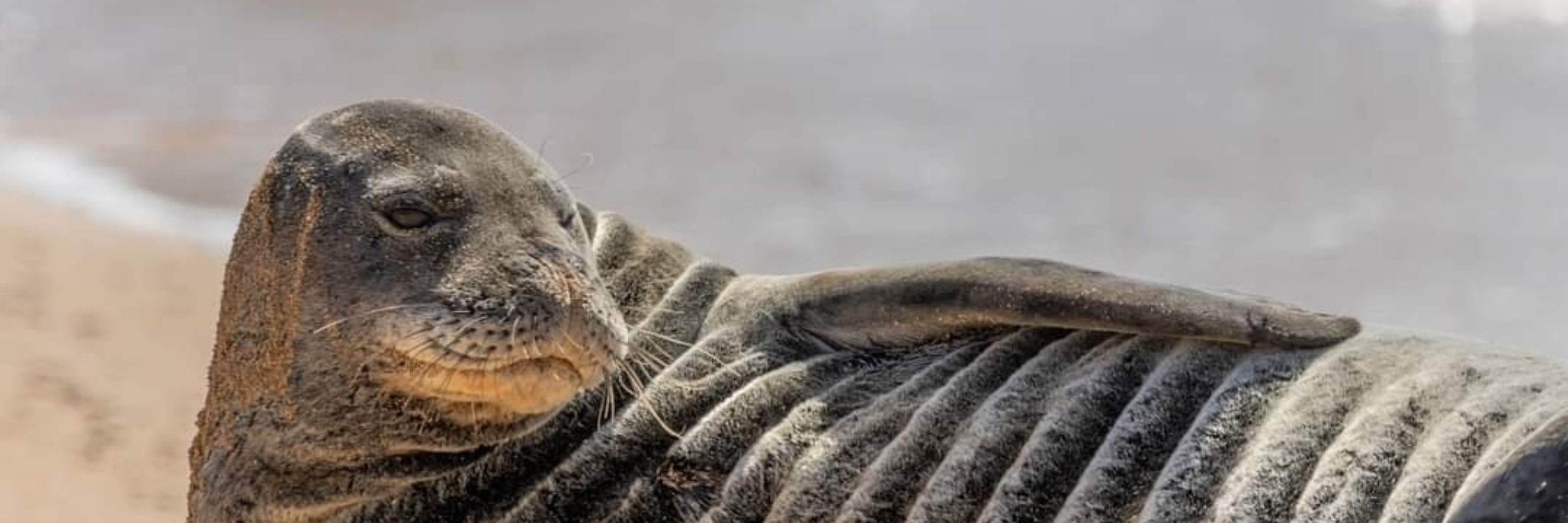 James Mertens Photography