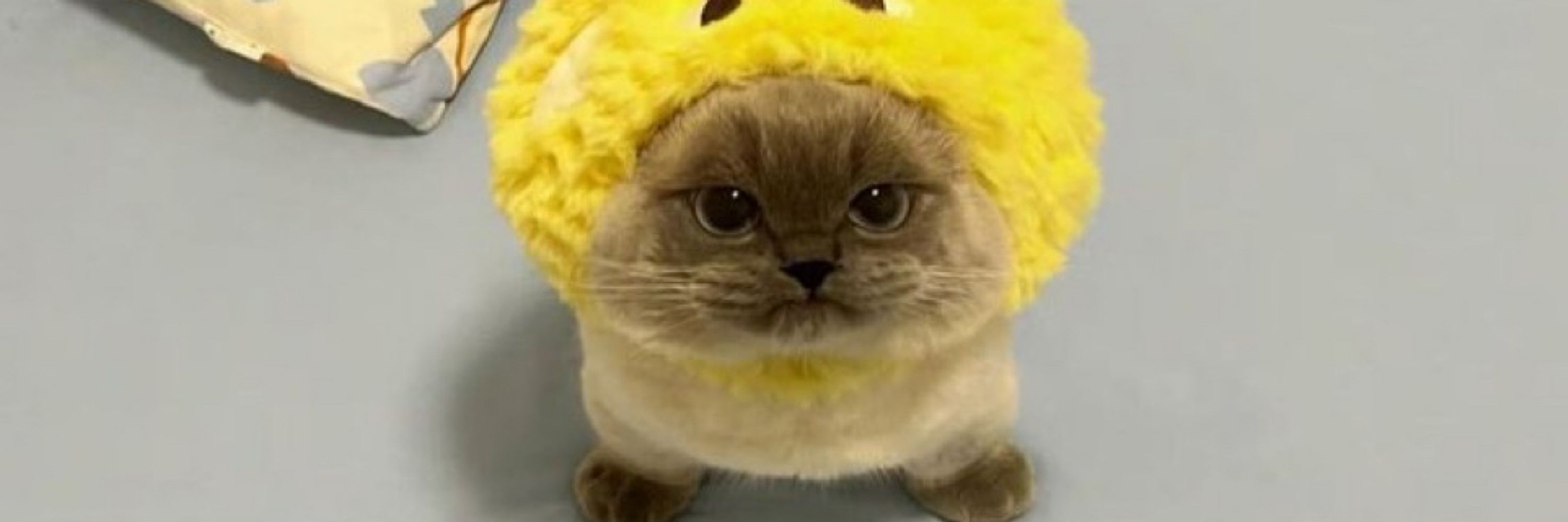 canabliss