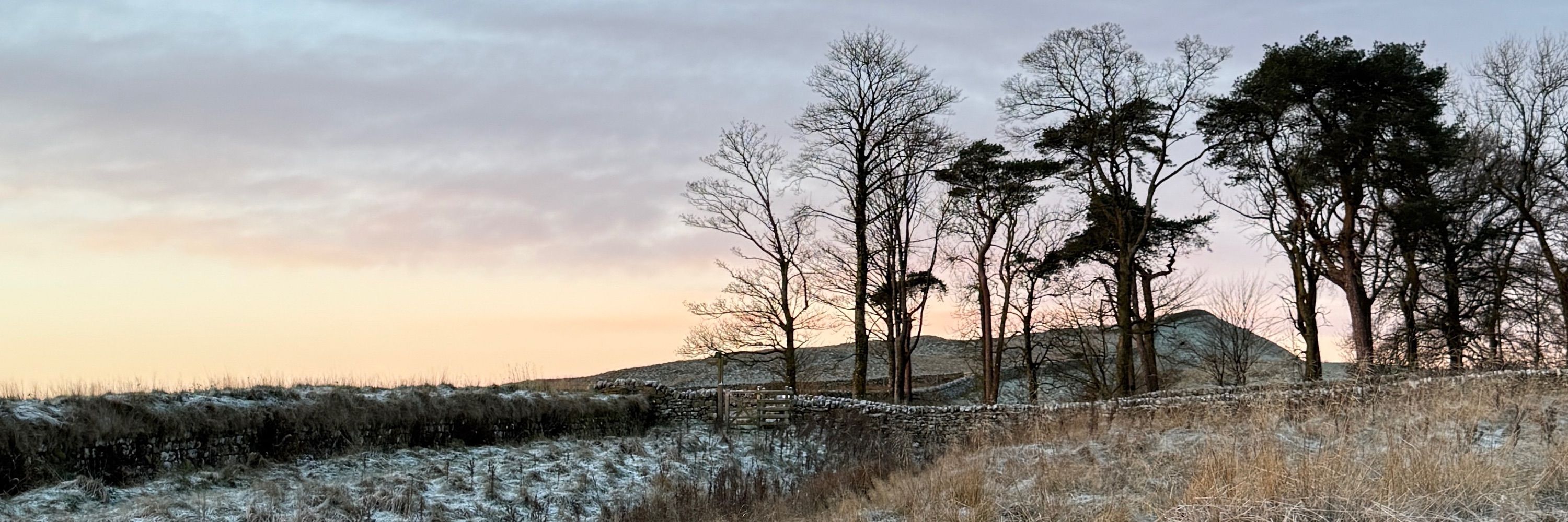Hadrians Wall Path