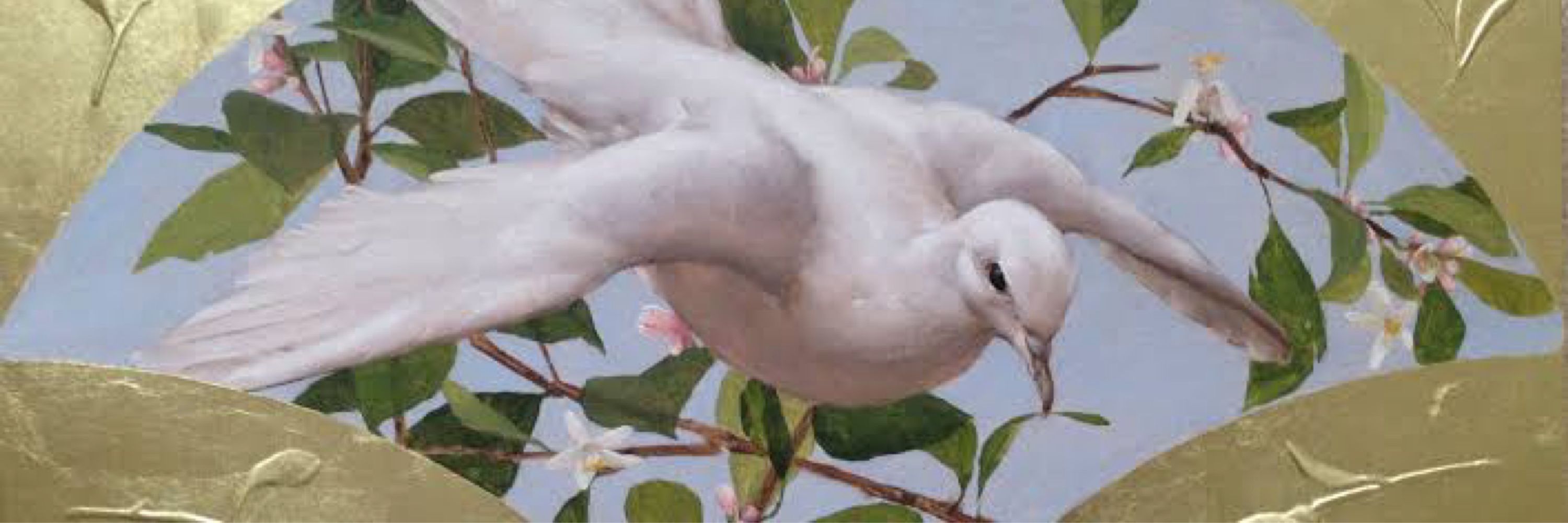 DOVE