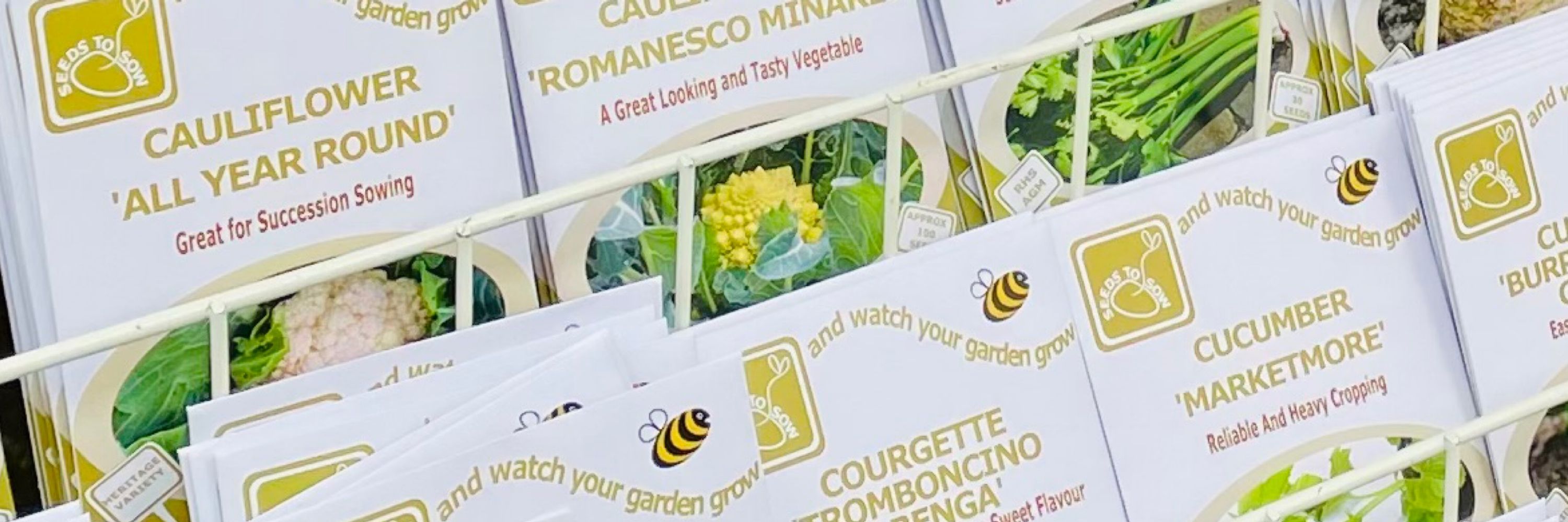 Seeds to Sow Ltd