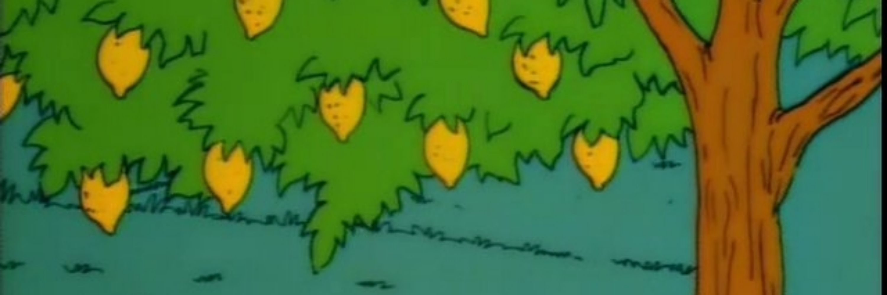 the lemon tree