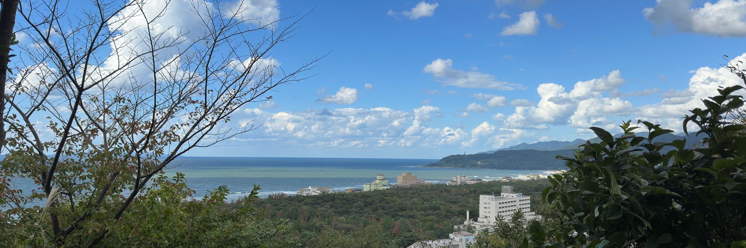 上田