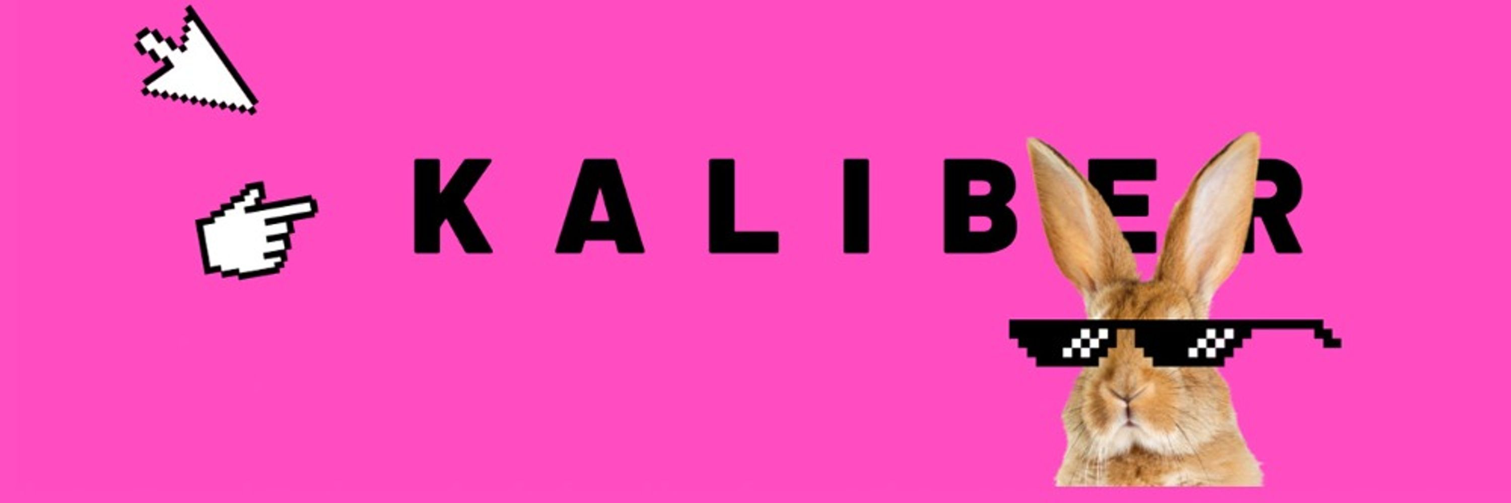 Kaliber Interactive