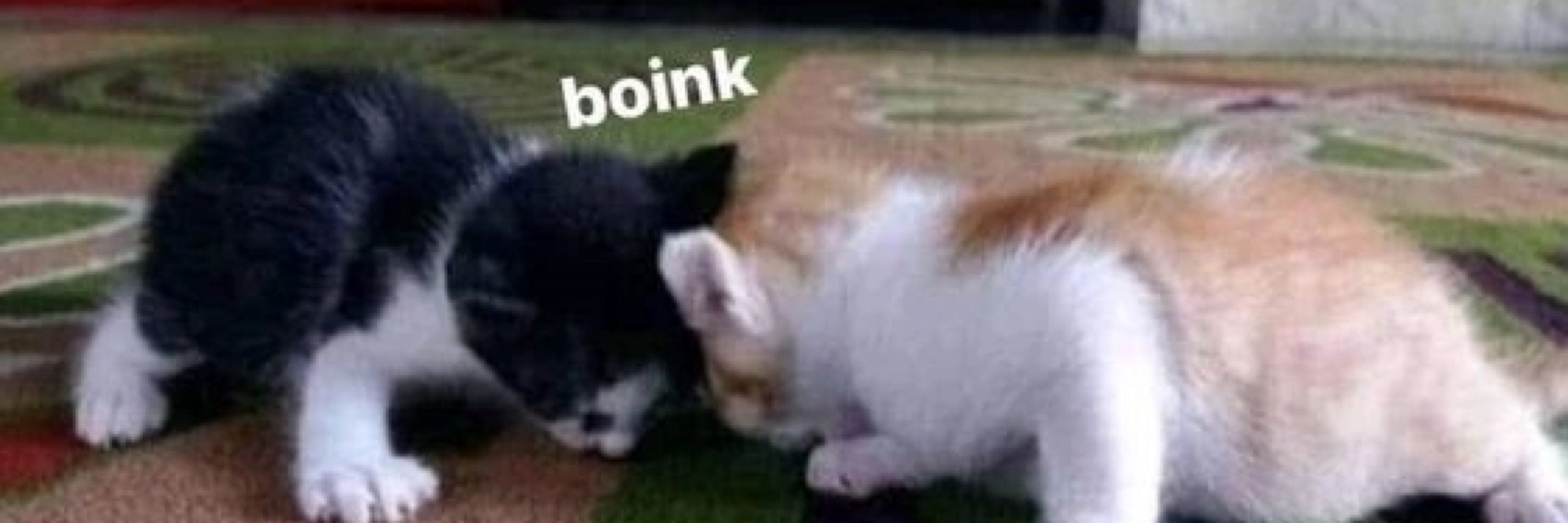 дша