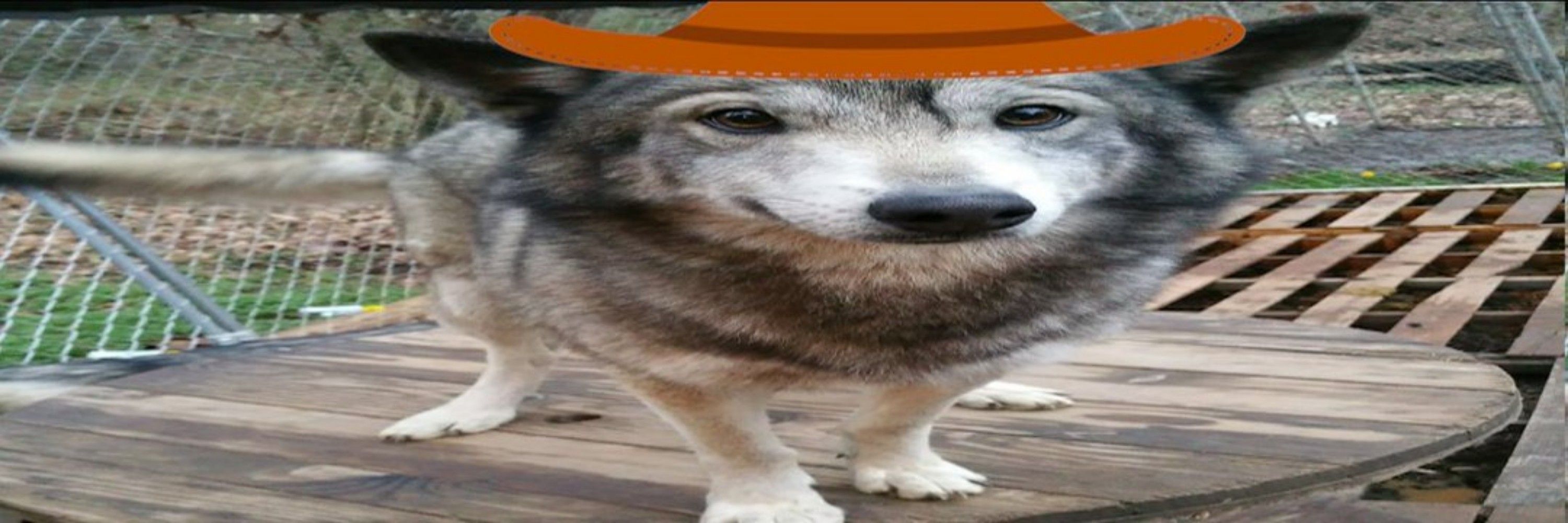 Jan