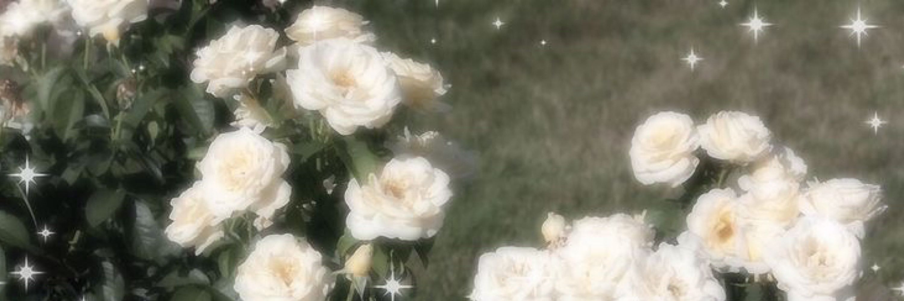 𝑦𝑜𝑢𝑟 𝑤𝑖𝑛𝑡𝑒𝑟, 𝑀𝑖.