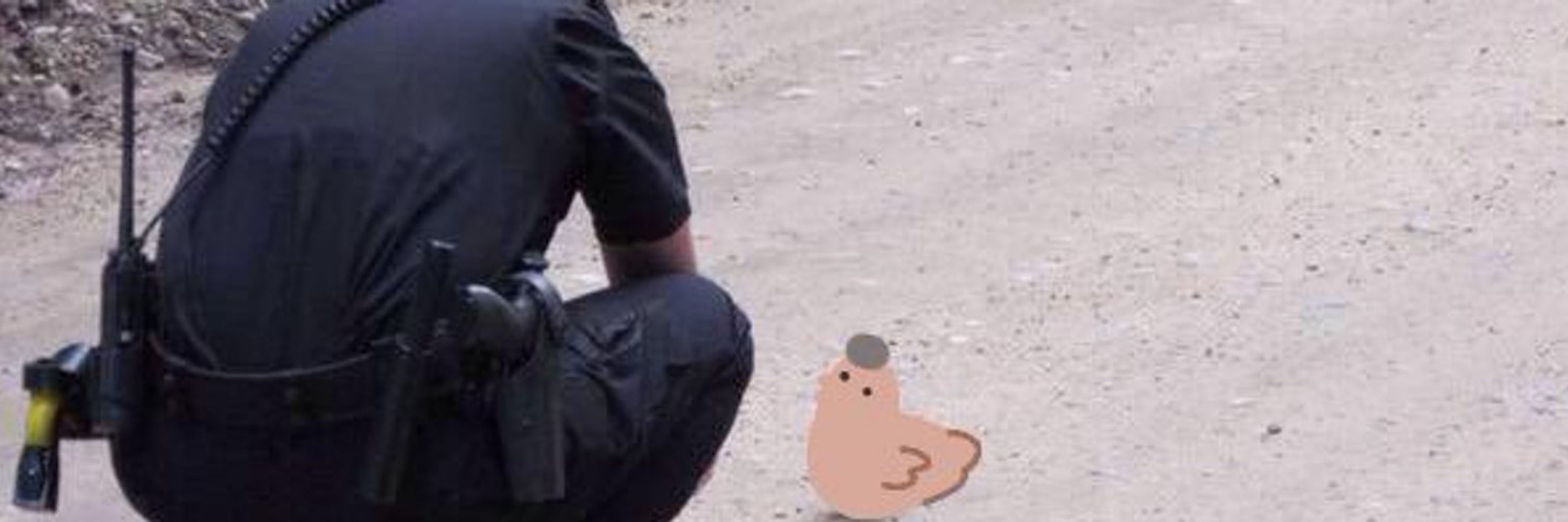 トムピス
