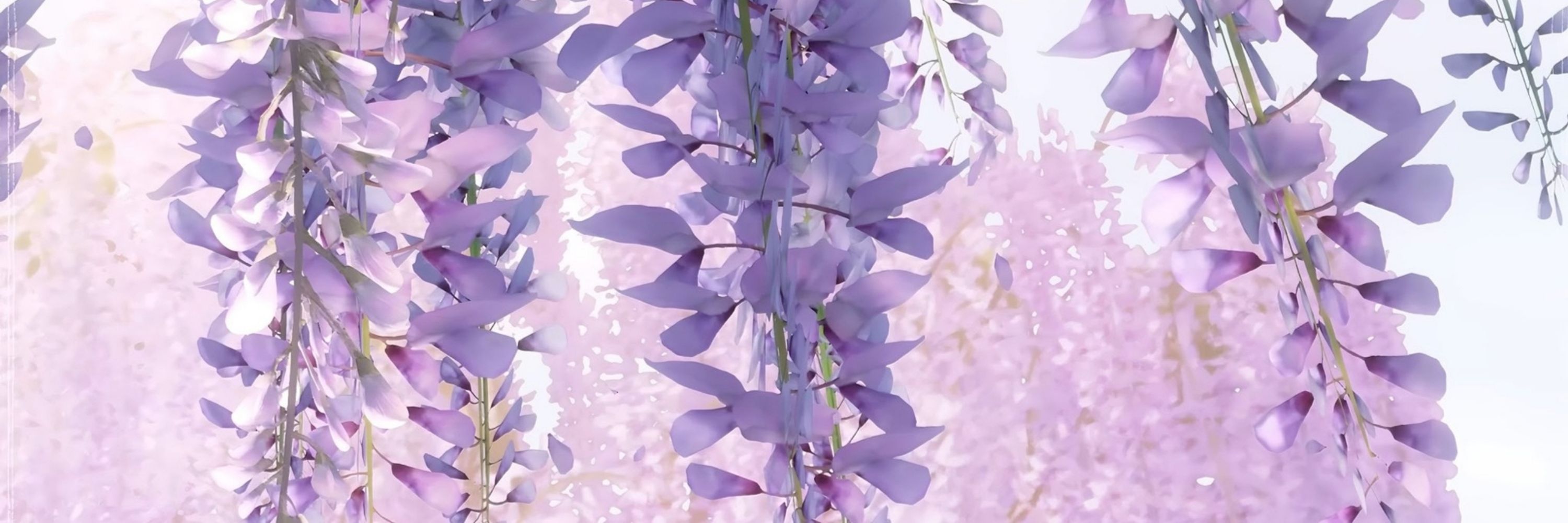 Barbara 🦋 바르바라