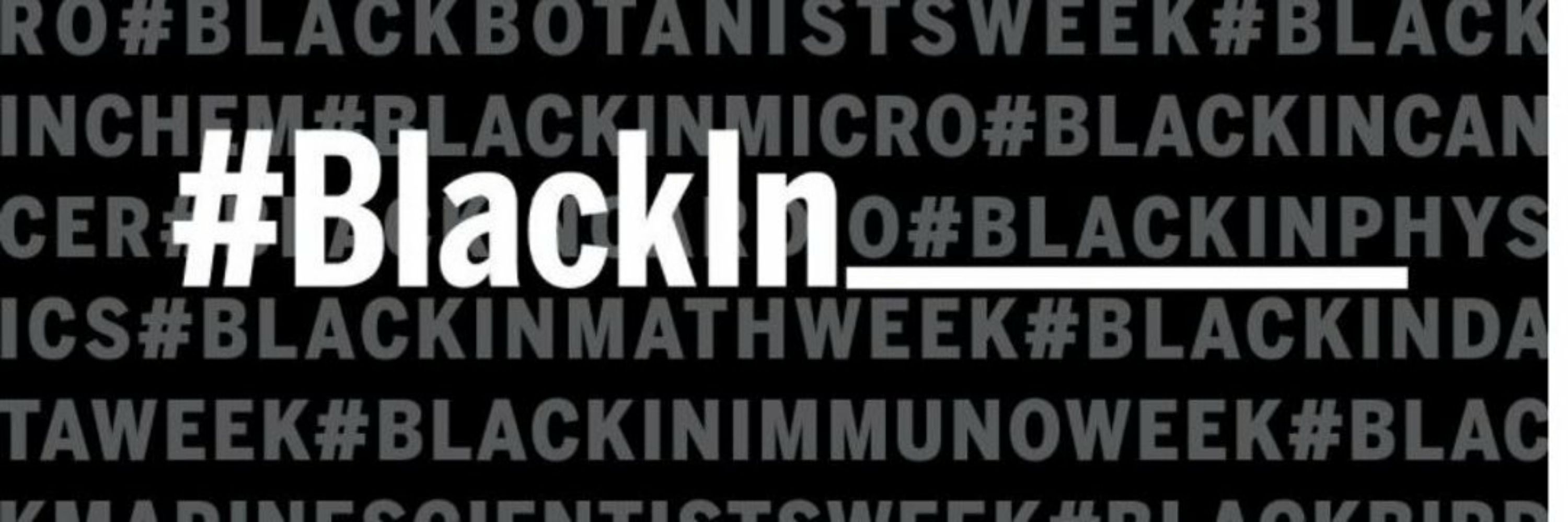 BlackinXNetwork