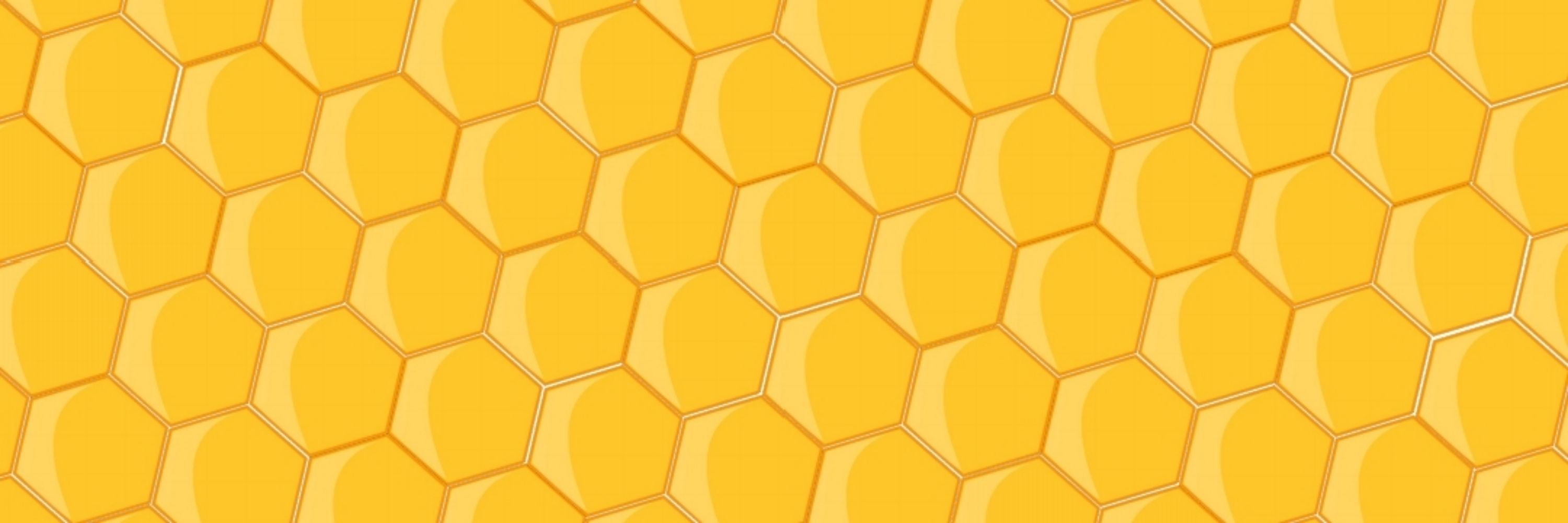 AnntheBee