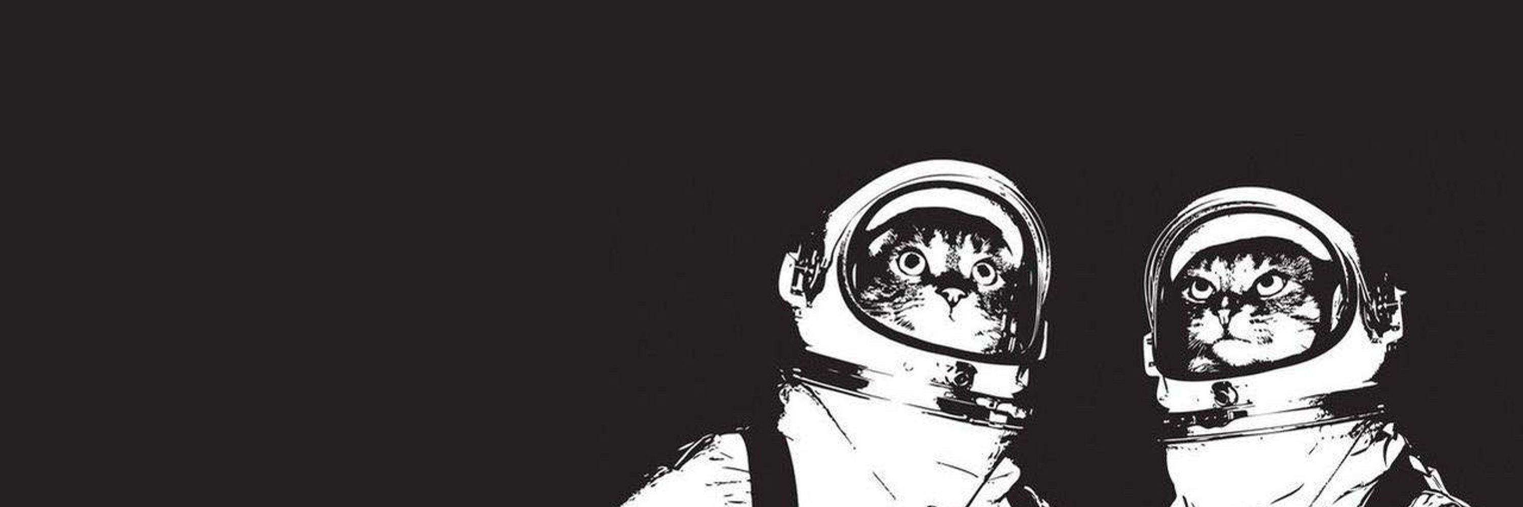 ıuıɟɐɹǝs ɹɐɯo