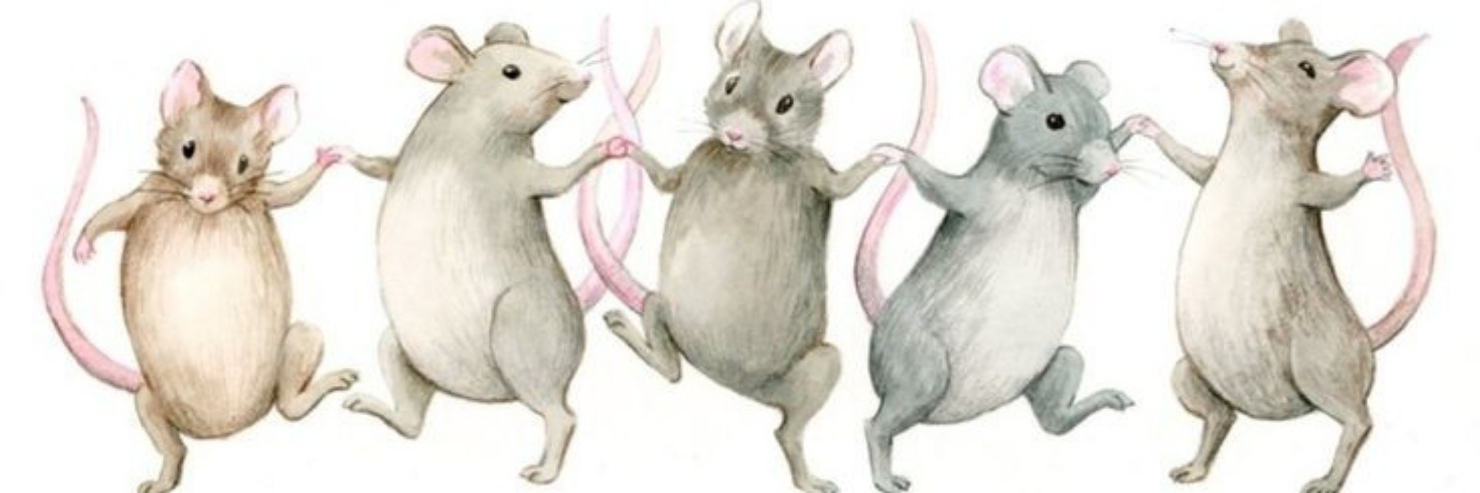 King Rato