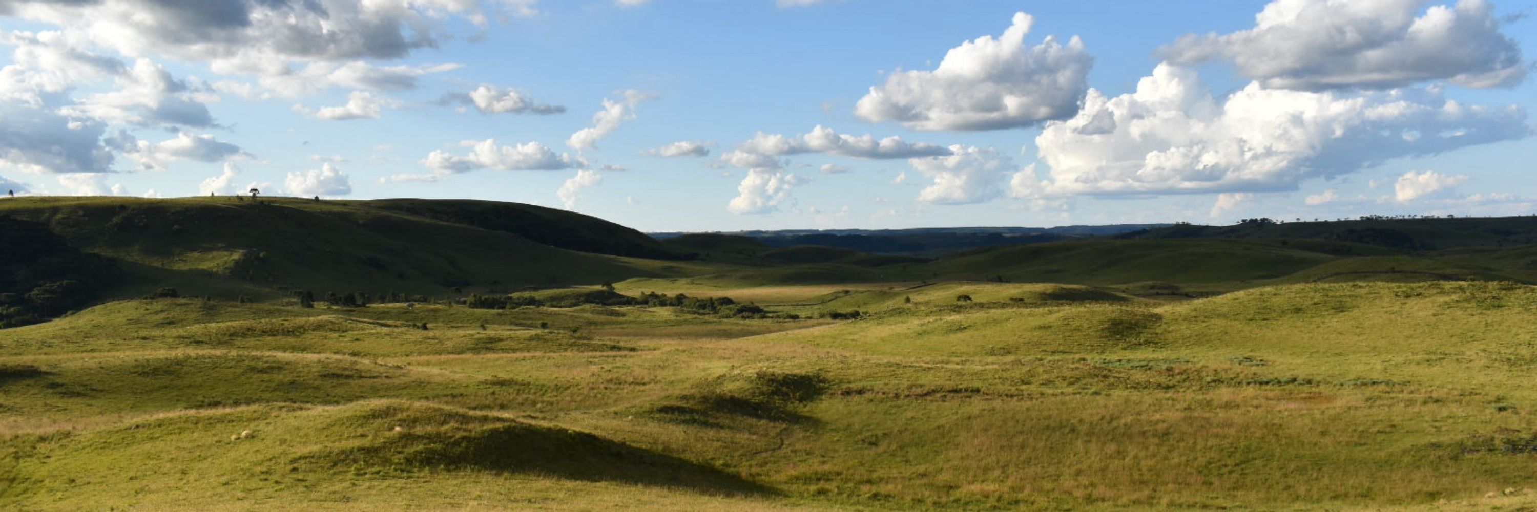 RamiroAvila