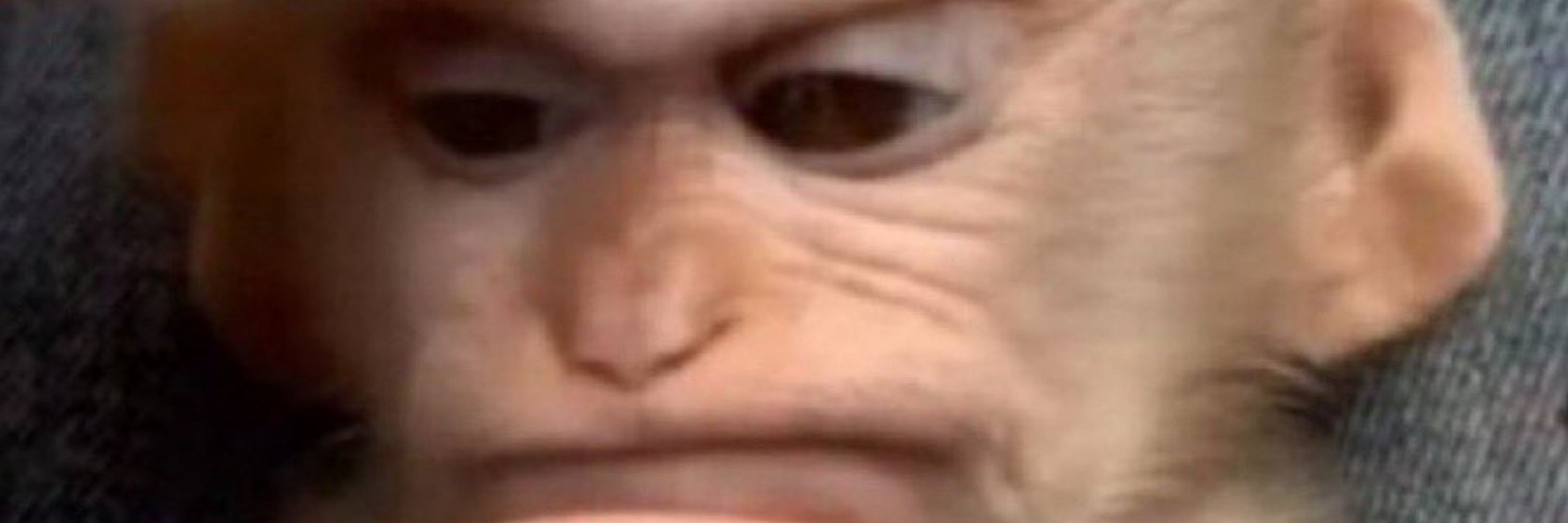 guuhsantoss