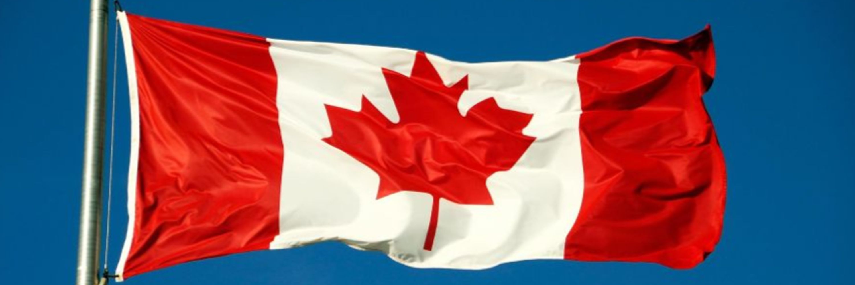 MapleStu fella 🇨🇦 🇺🇦 🇬🇱