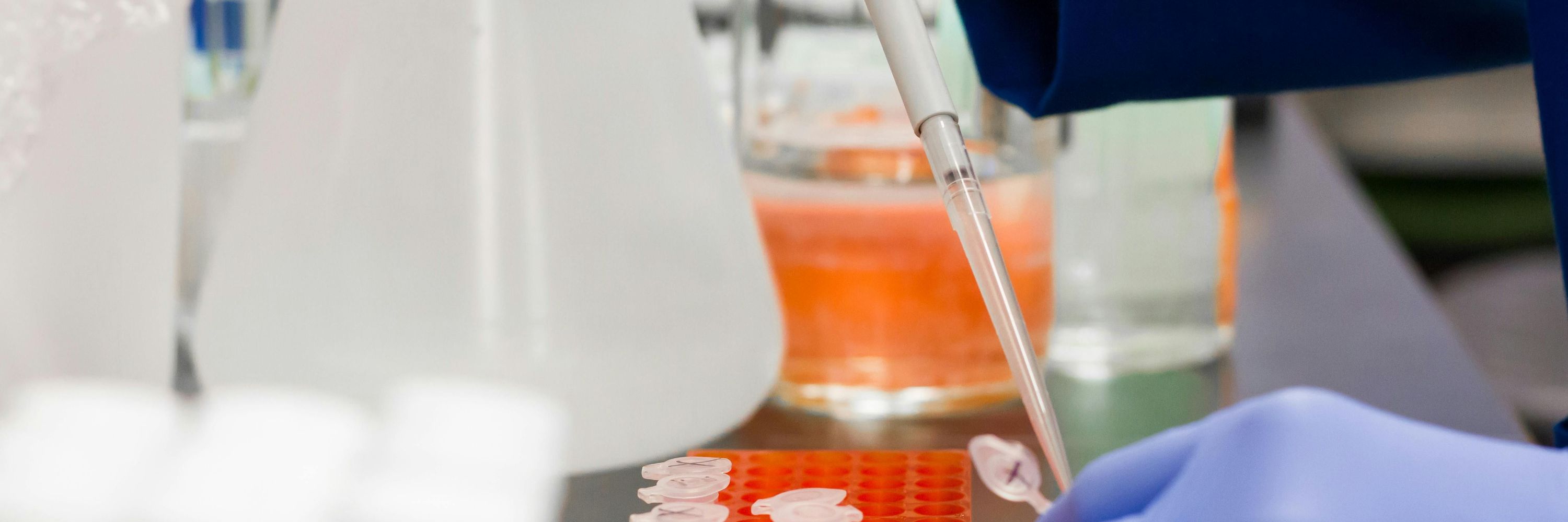 Jeremias Lab