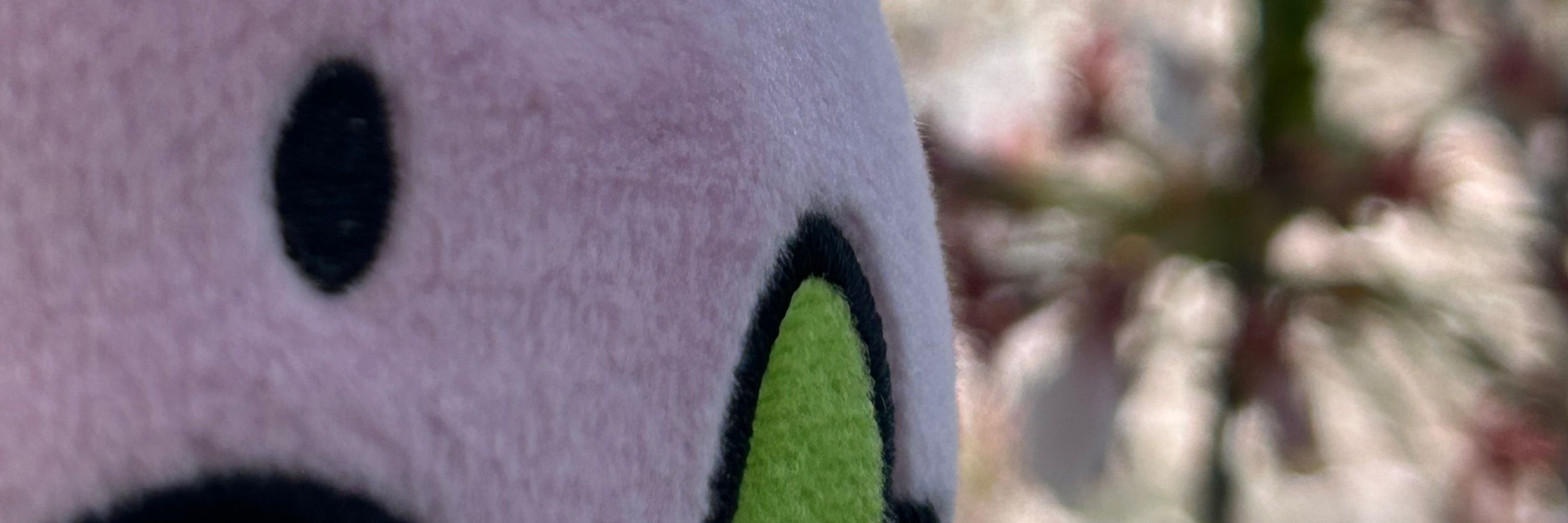 ぬ