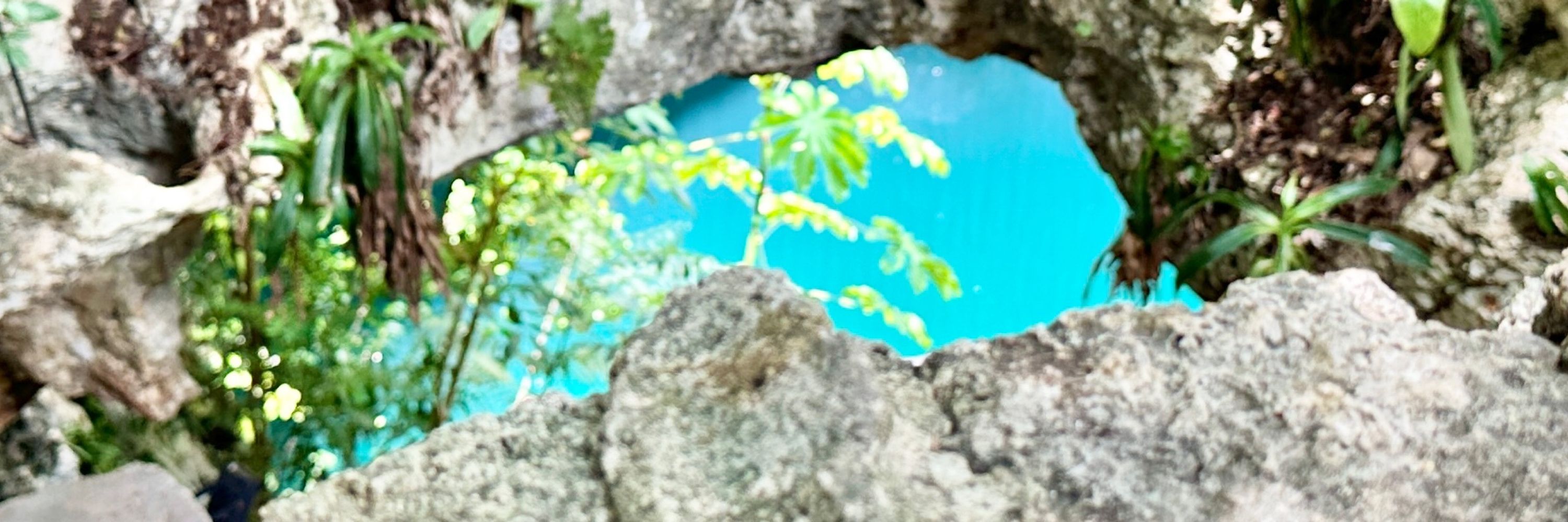 오세요 멕시코