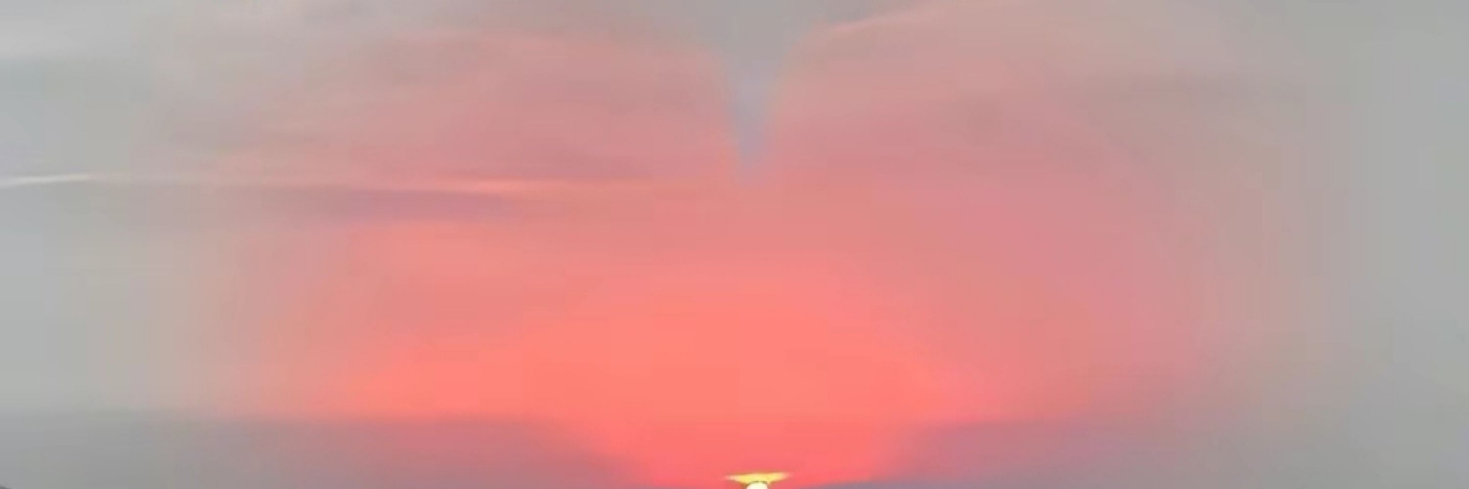 -龍仔-