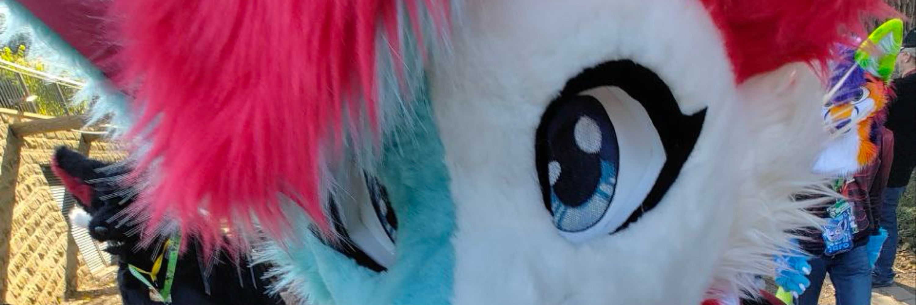 HomeBargains Fox 🔜 CFz