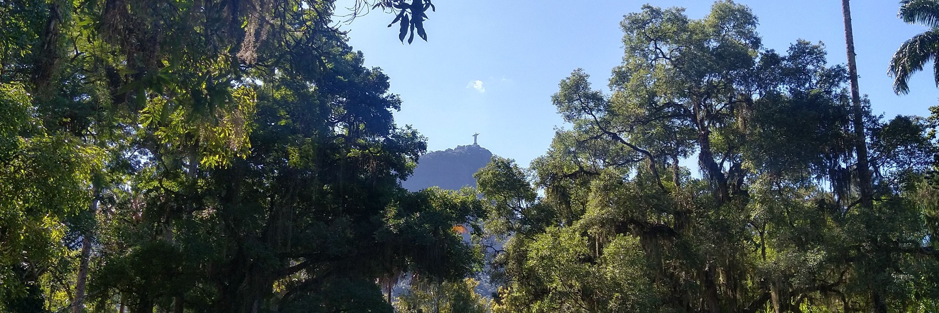 lucao