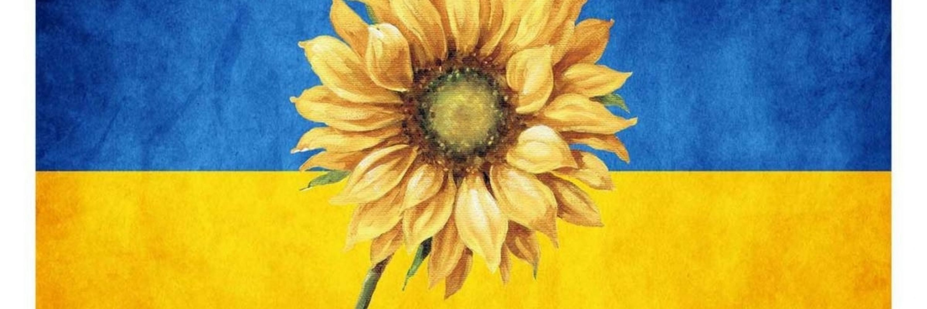 Peter Whitehead
