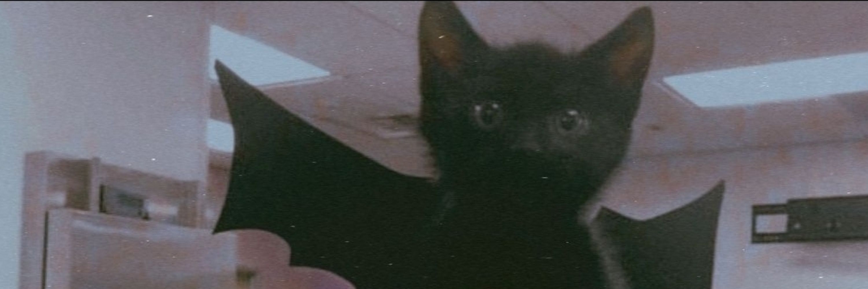 dina 