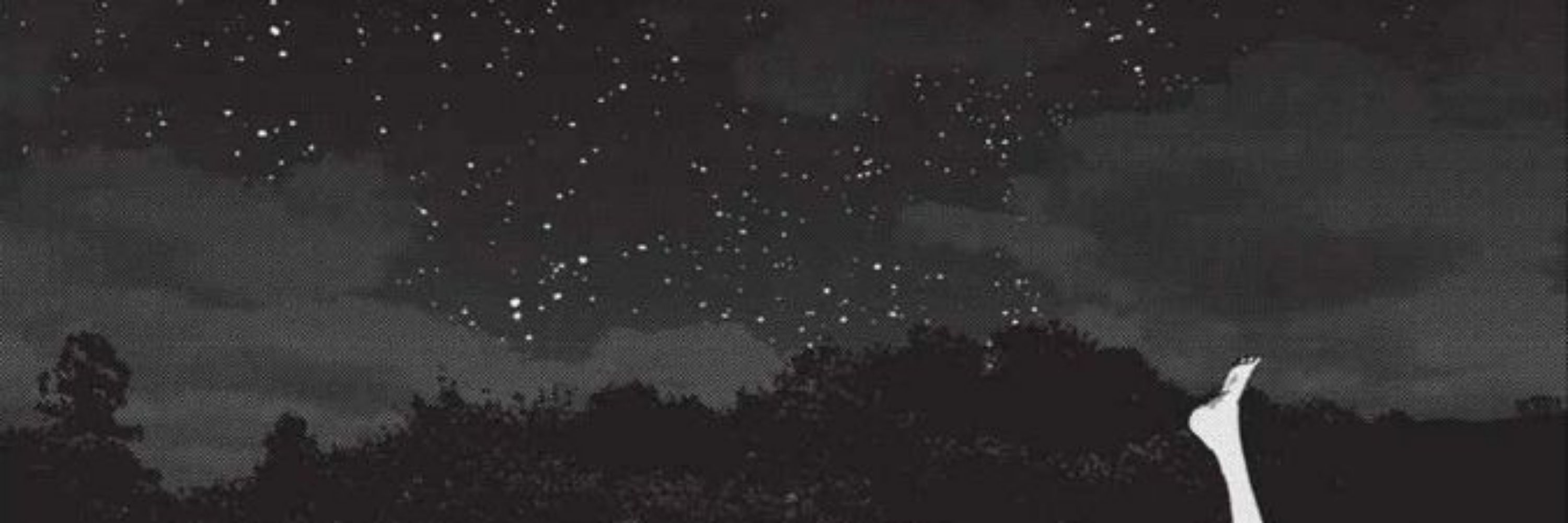 wonderfultime