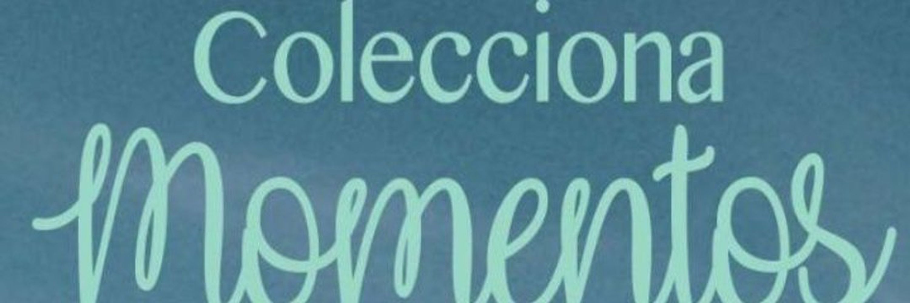 Raquel S. C.