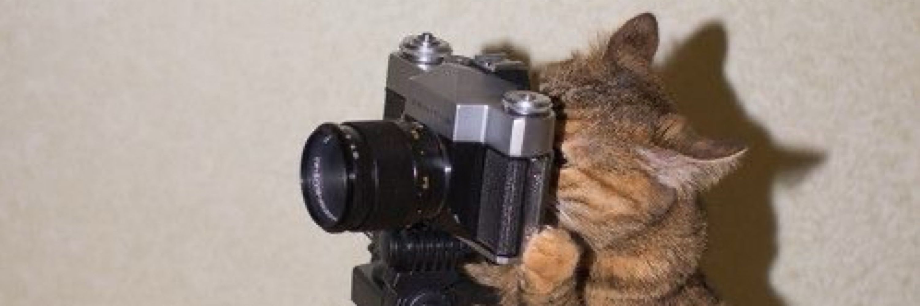 meowmeowpw