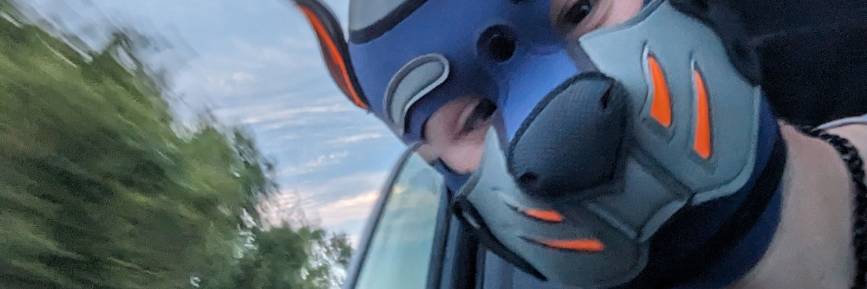 Pup Riley 🔜 FWA