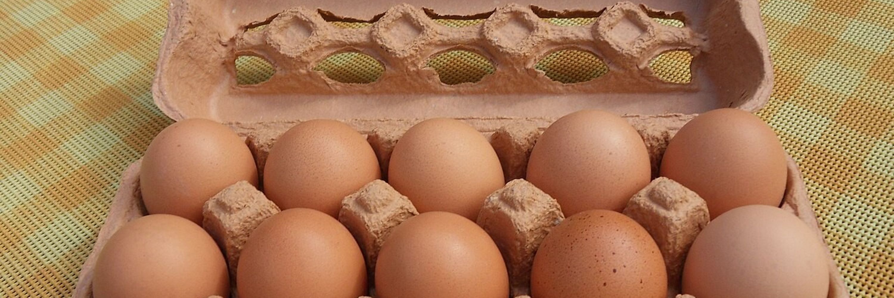 I Am Eggs