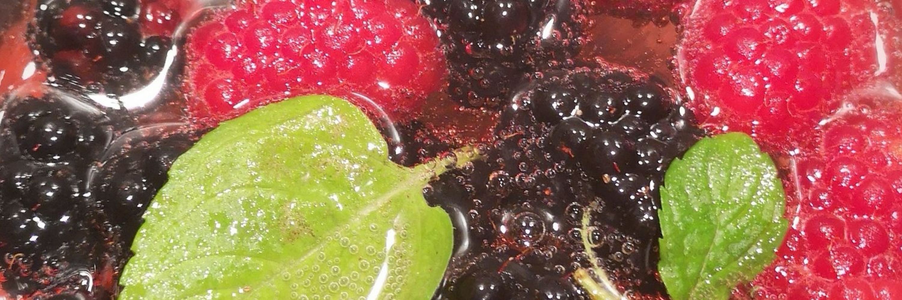 Andrea Raspberry 