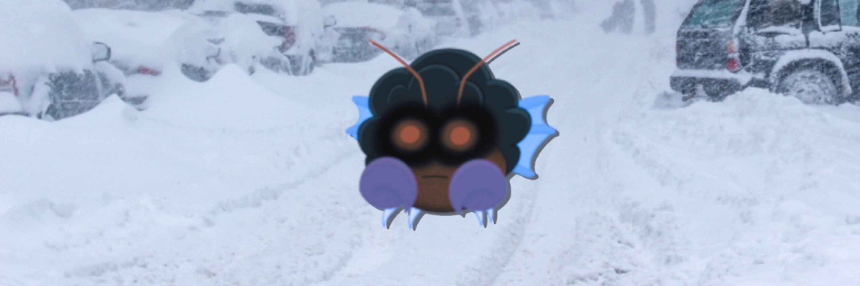 Hoodlum Crabs 