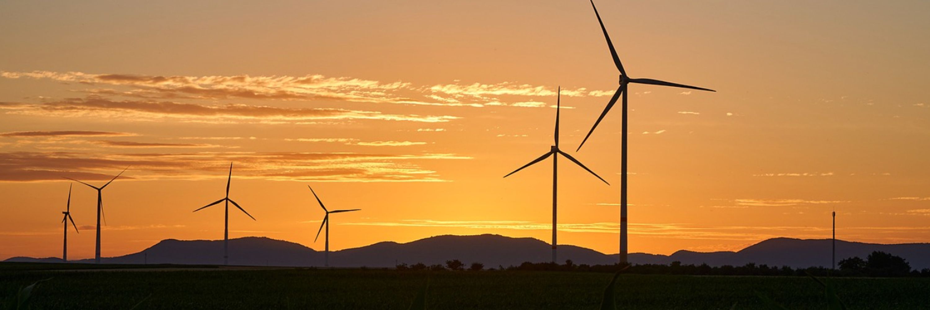 Climate Literacy and Energy Awareness Network (CLEAN)
