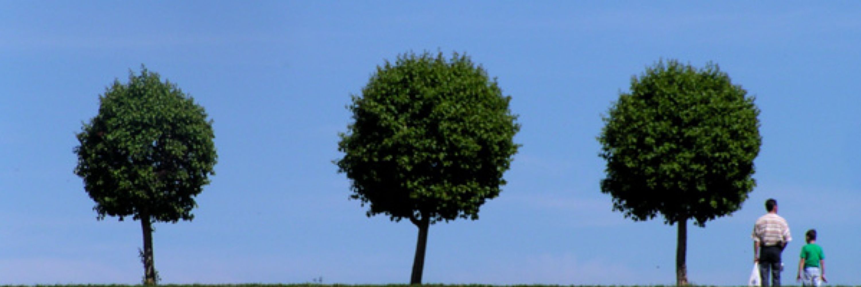 APG