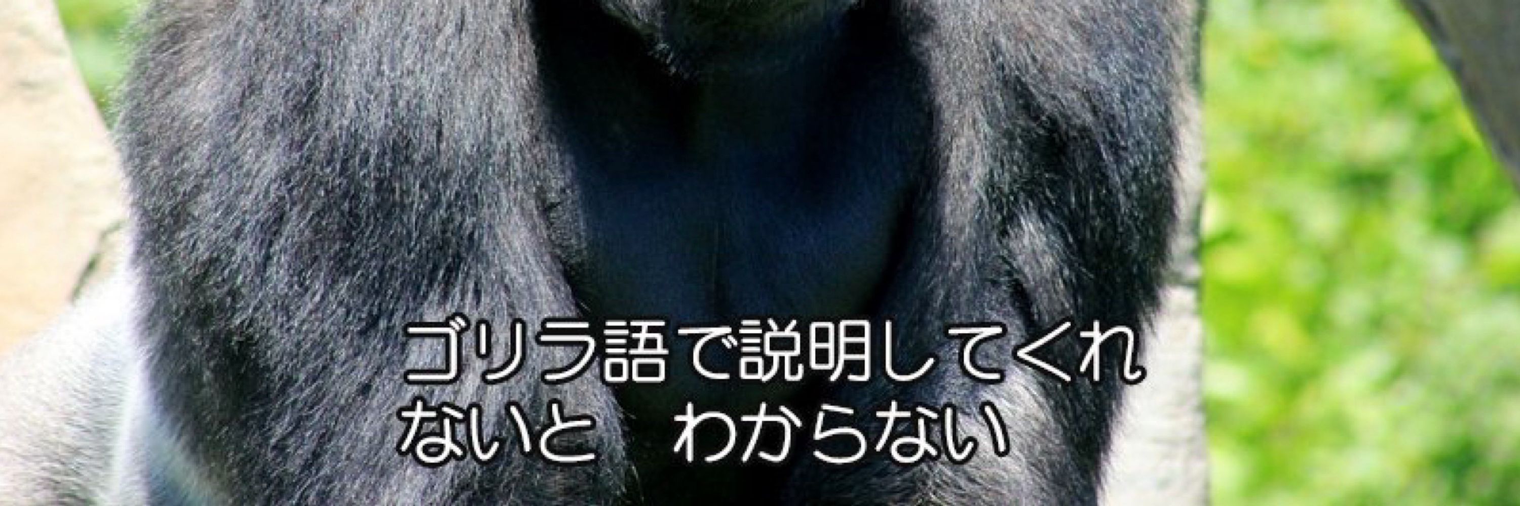 うっほほゴリ太郎