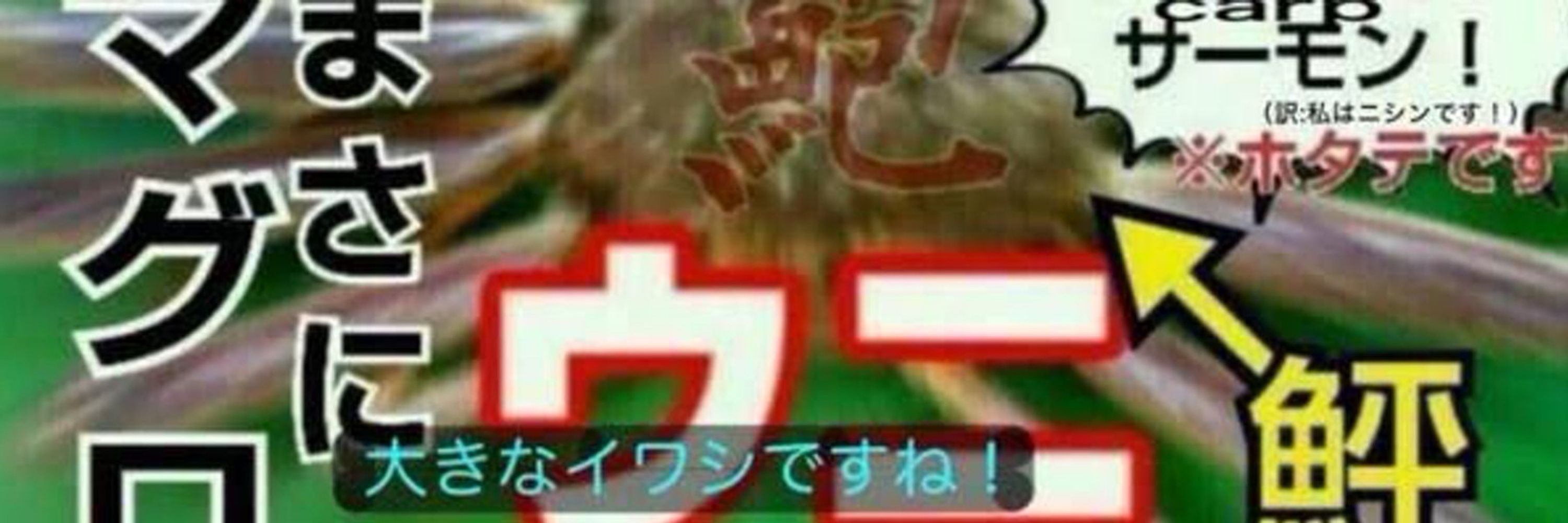 ドットーンa.k.a響