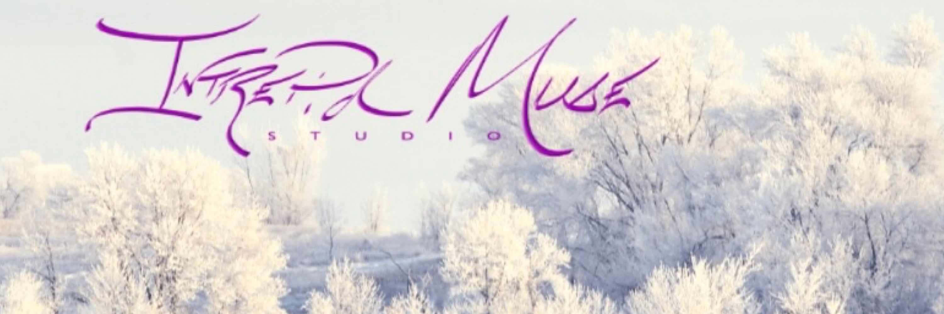 Intrepid Muse Studio