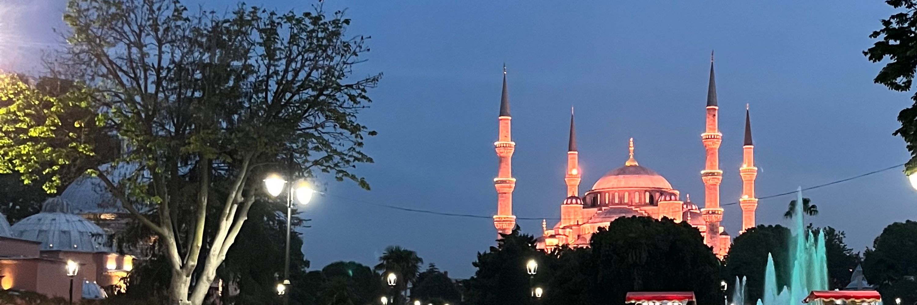 Sedat Çankaya