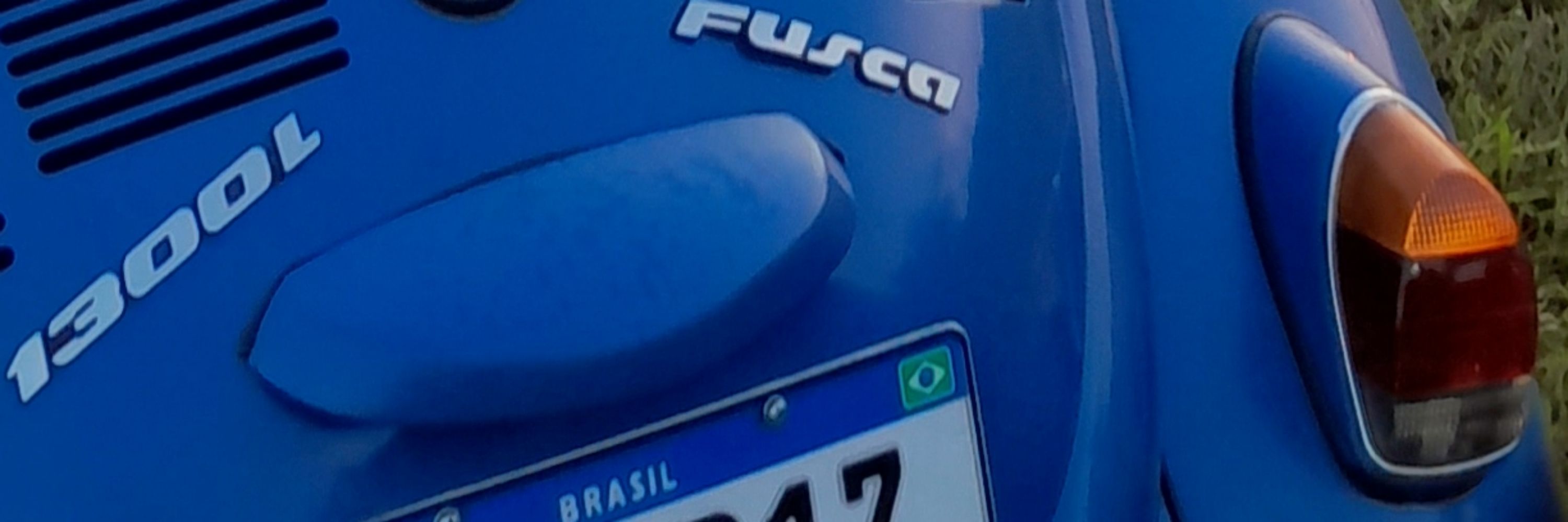 vizoni?