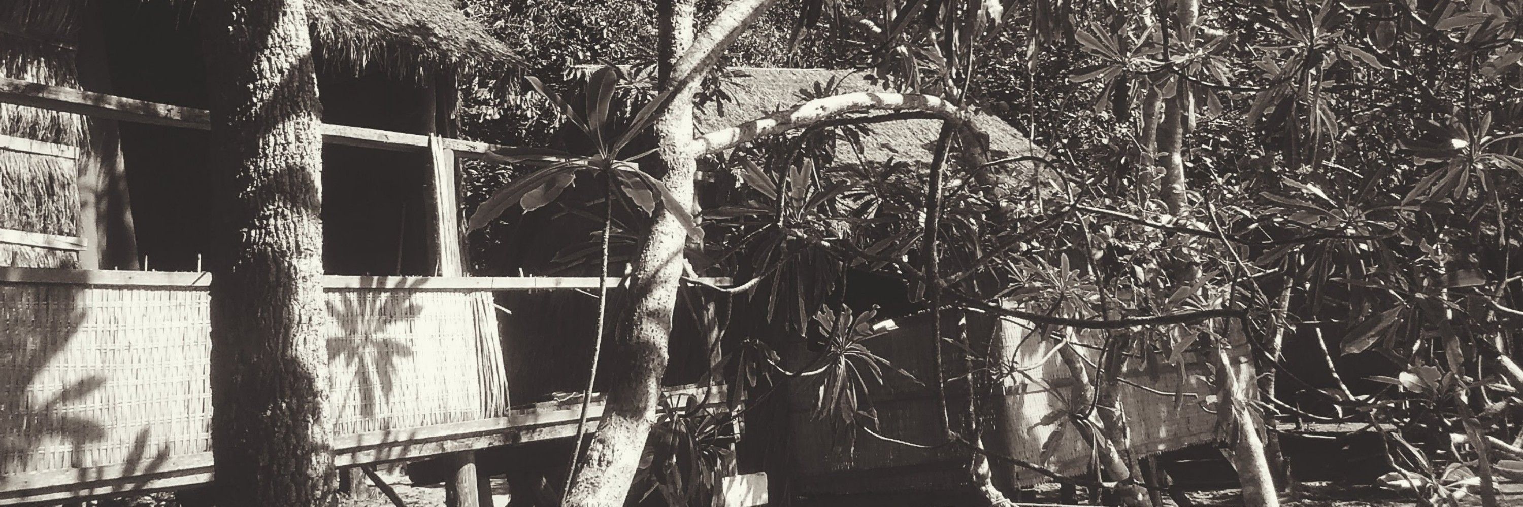 Herbert Herbington