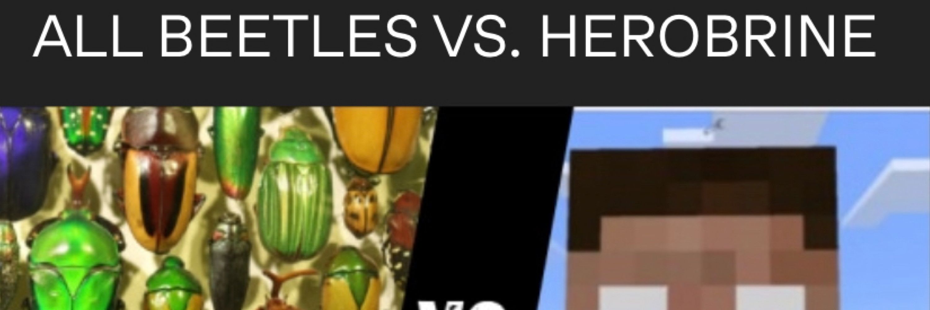 Voxel(s)