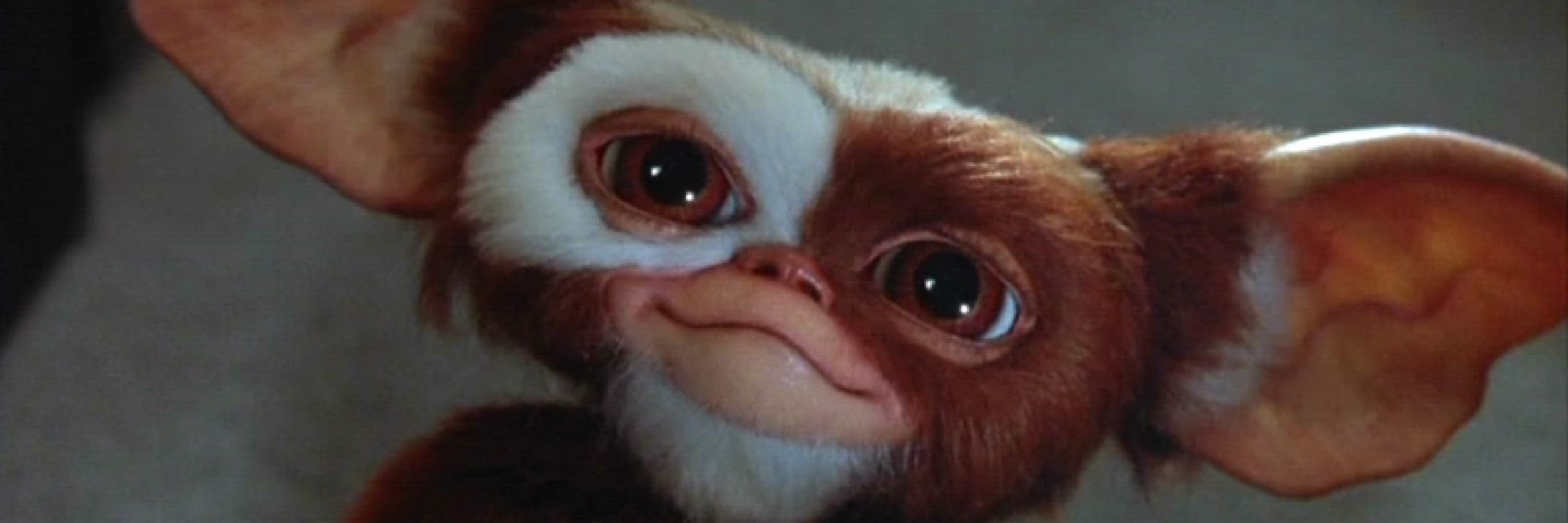 Gufig