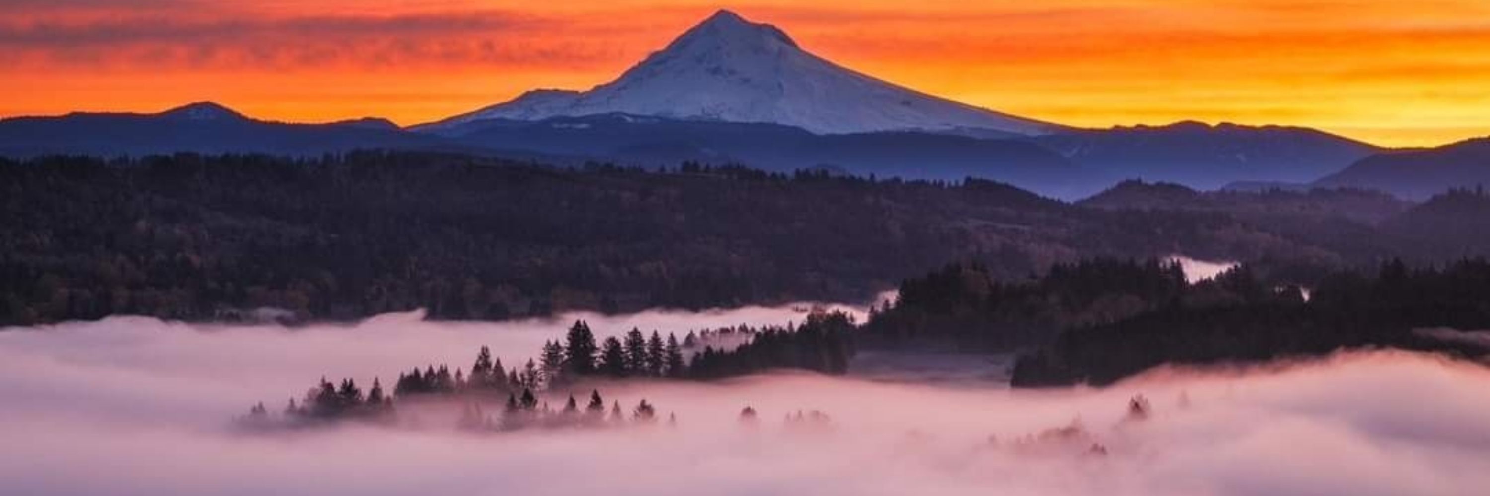 The Blue Ridge Witch